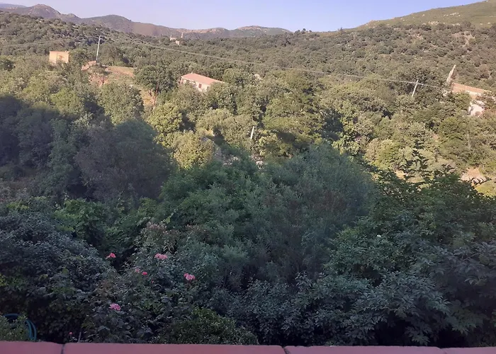 A Casa Di Mamo